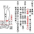 ●三陰交(脾).jpg