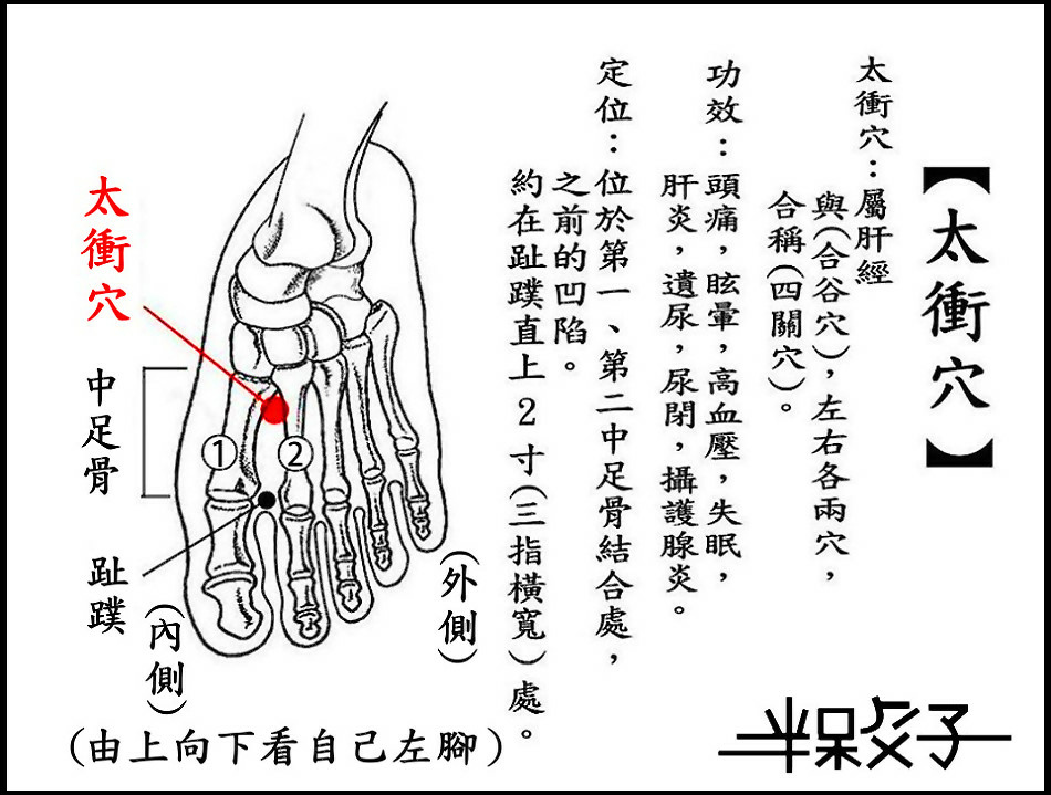 ●太衝穴-(肝).jpg ●太衝穴-(肝).jpg