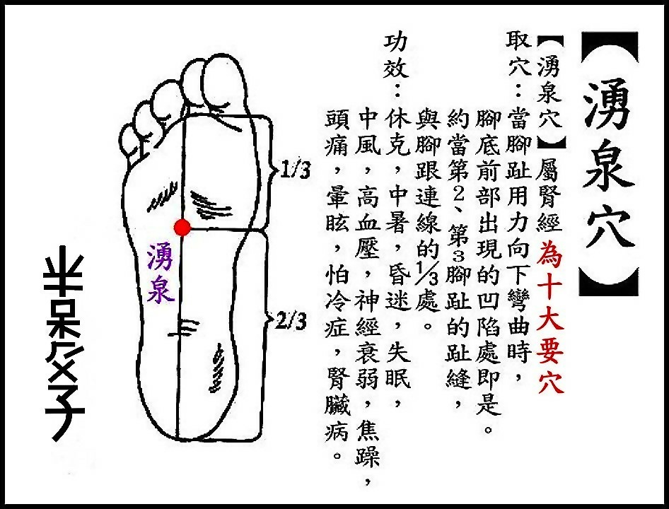 ●湧泉穴(腎).JPG ●湧泉穴(腎).JPG