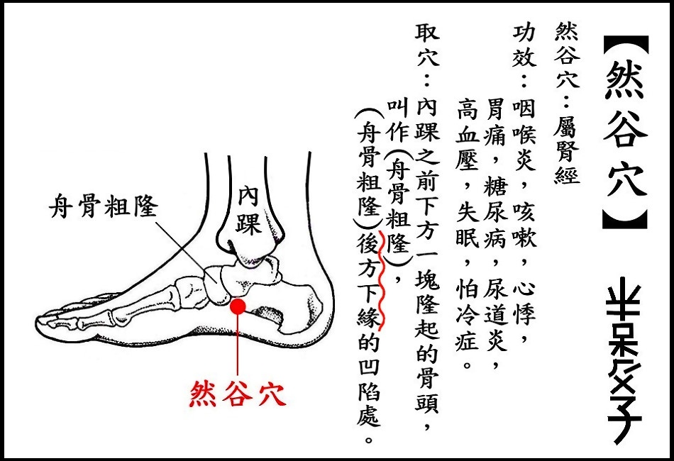 ●然谷穴(腎).JPG