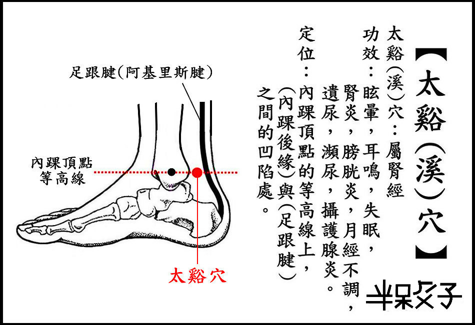 ●太谿穴(腎).jpg ●太谿穴(腎).jpg