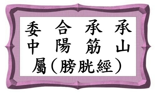 (委中~承山)-1.jpg (委中~承山)-1.jpg