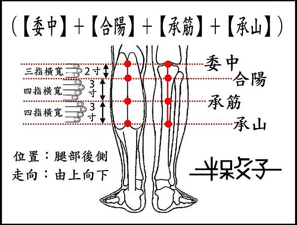 (委中~承山)-2.jpg