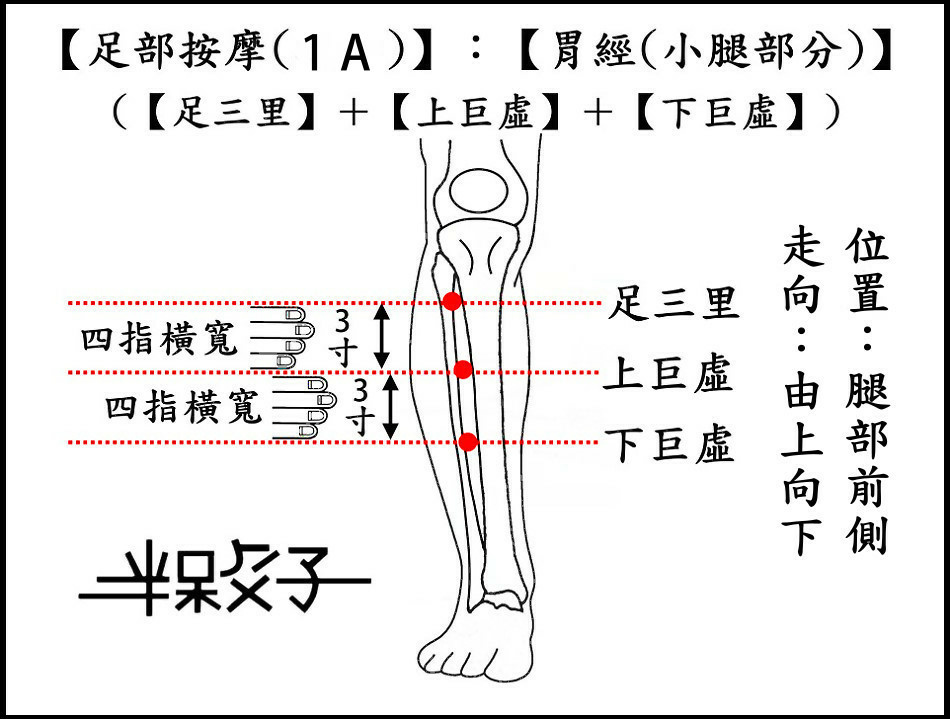 足部(1A)(小腿).jpg 足部(1A)(小腿).jpg