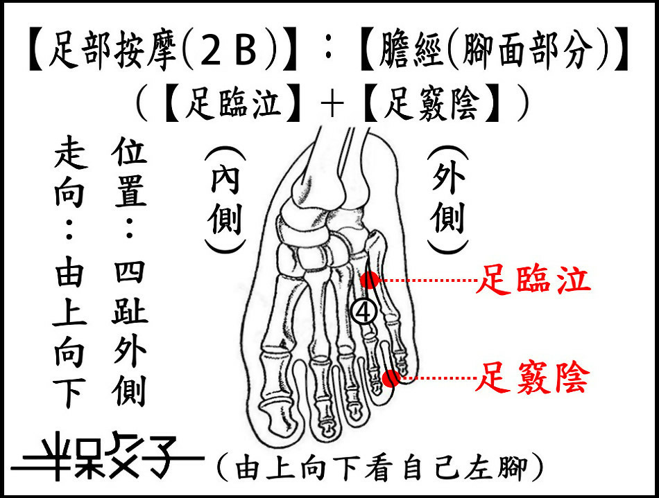 足部(2B)(腳面).JPG