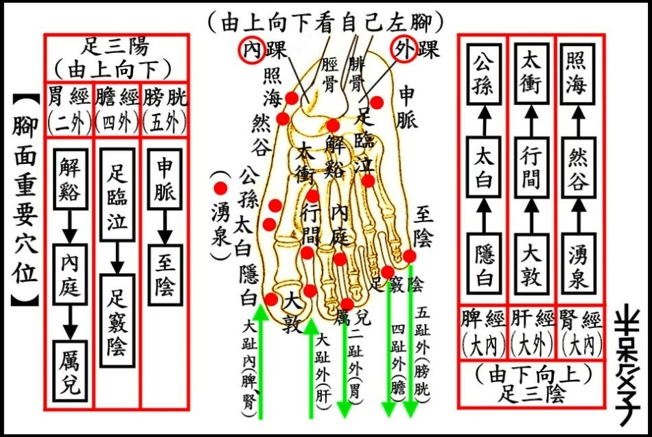 ●橫-腳面(950X637)●加框.JPG ●橫-腳面(950X637)●加框.JPG