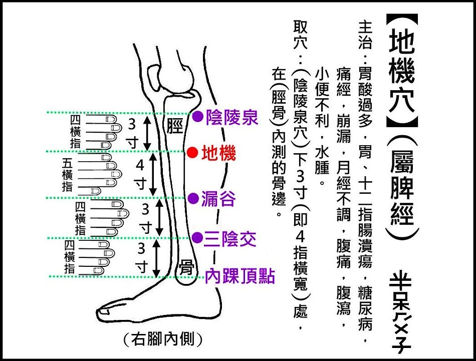 地機-2.JPG