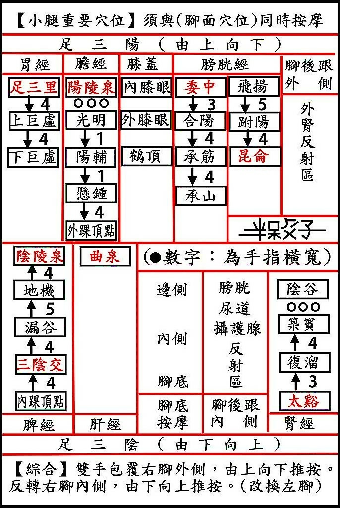 ●直-小腿(686X1024)-1.jpg ●直-小腿(686X1024)-1.jpg