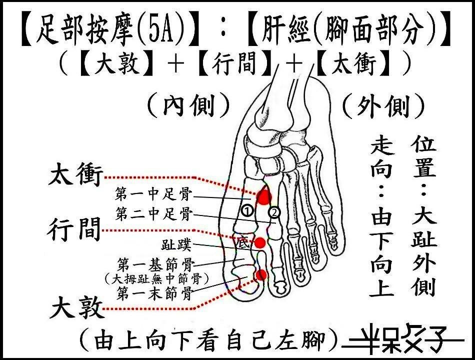 肝經(5A)(腳面).jpg