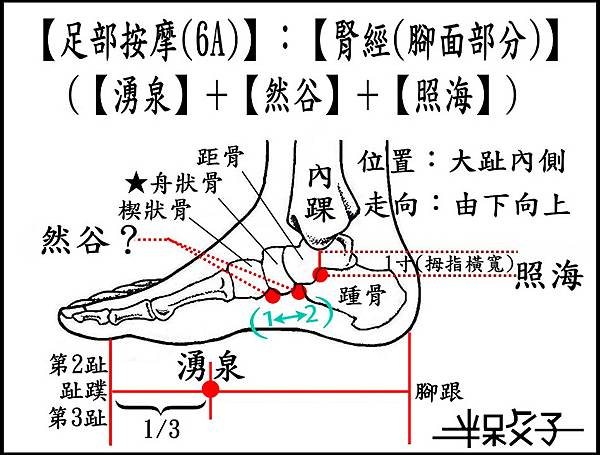 腎經(6A)(腳面).jpg