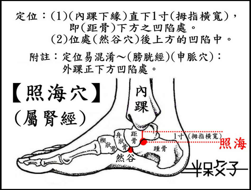 照海穴-2.jpg