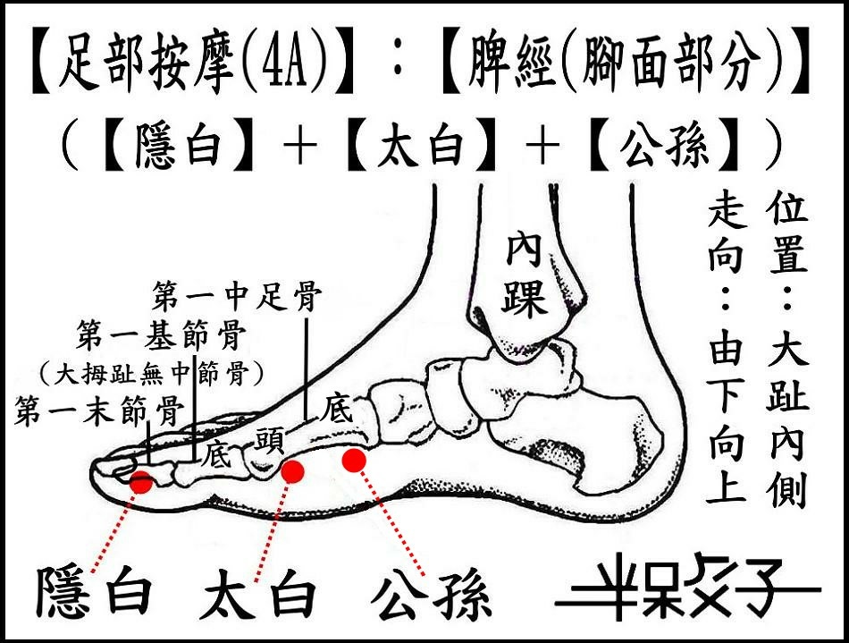 脾經(4A)(腳面).jpg