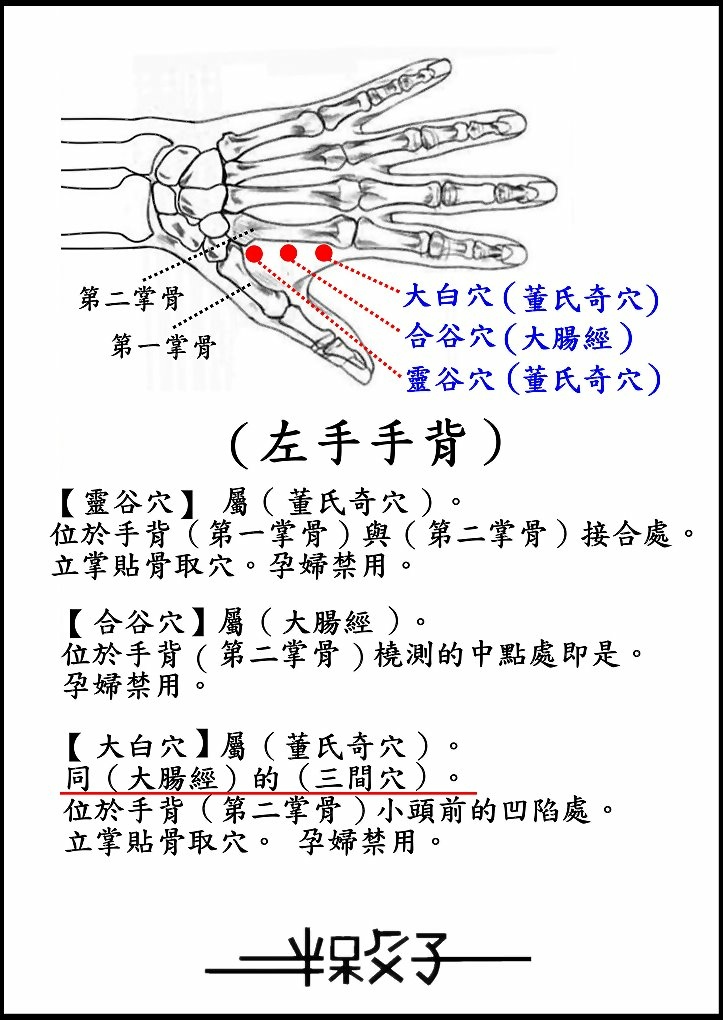 左手手背c_6_副本.jpg