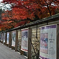 石山寺00011.jpg