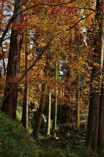 石山寺00058.jpg