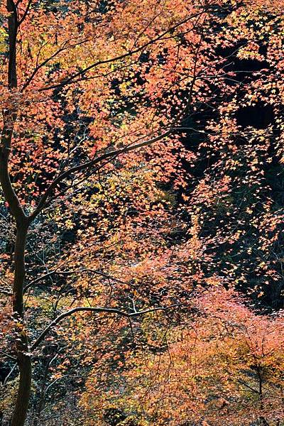 石山寺00084.jpg