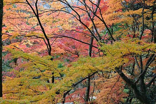 石山寺00140.jpg