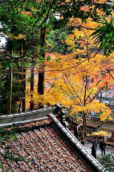 石山寺00167.jpg