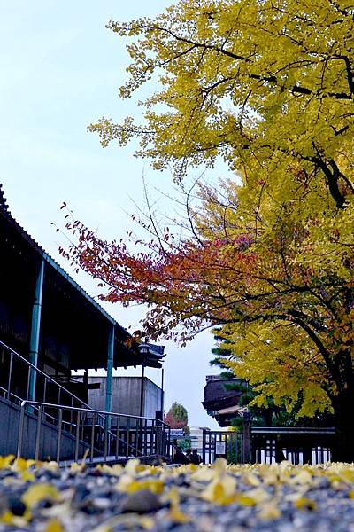 東本願寺00031.jpg