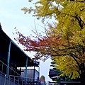 東本願寺00031.jpg