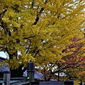 東本願寺00054.jpg