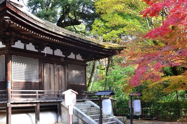 石山寺00101.jpg - 關西賞楓