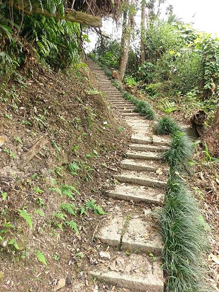 苗栗獅潭之旅遊景點-仙山山峰