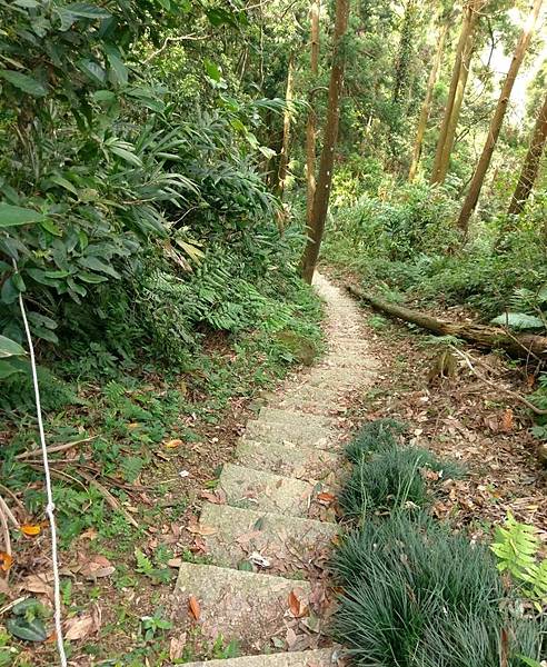 苗栗獅潭之旅遊景點-仙山山峰