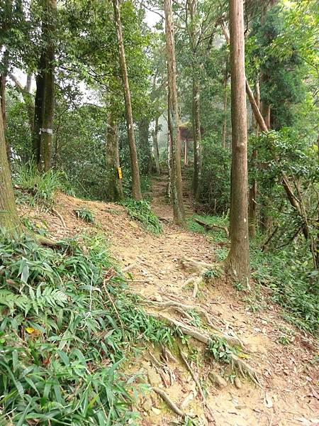 苗栗獅潭之旅遊景點-仙山山峰