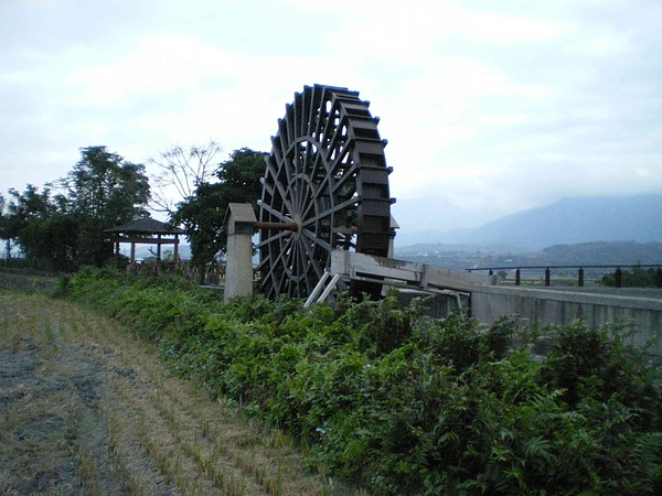 池上水車 (14).jpg