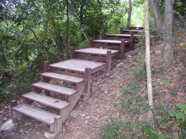 彰化桃園里023.jpg