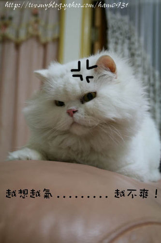 去.jpg