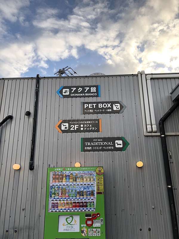 pet box okinawa