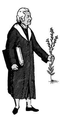 woodcut%20DC2.jpg woodcut%20DC2.jpg