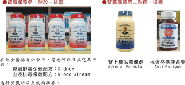 腎臟保健.jpg 腎臟保健.jpg