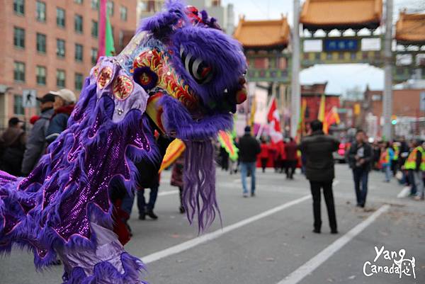 the Year of the Horse at Vancouver's Chinese New Year Parade