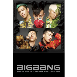 cover_bigbang_jp_dome_d