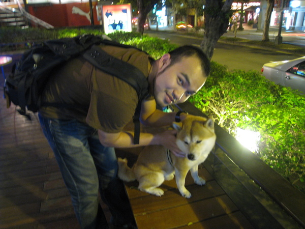 加州柴犬 加州柴犬