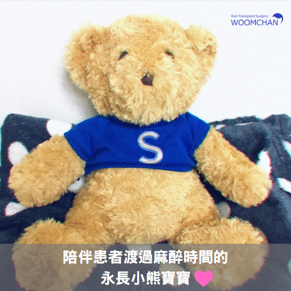 WOOMCHAN BEAR.png