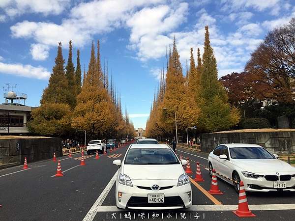 日本 東京 明治神宮外苑銀杏與新宿御苑楓葉 大媽咪和小兒子 痞客邦