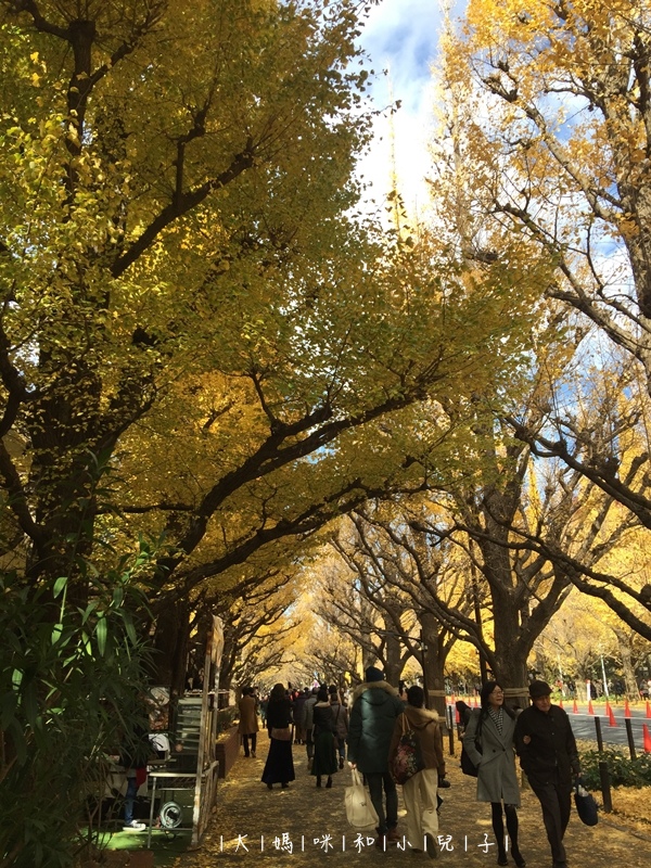 [日本-東京] 明治神宮外苑銀杏與新宿御苑楓葉