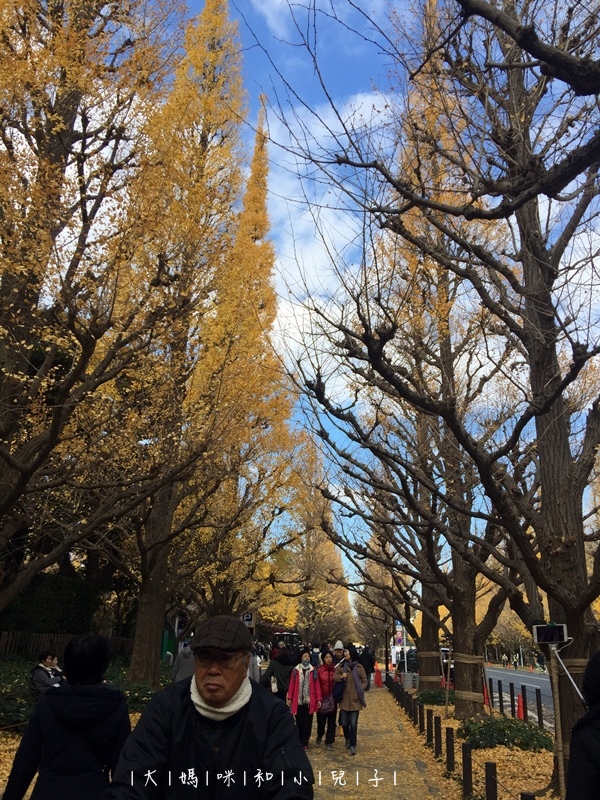 [日本-東京] 明治神宮外苑銀杏與新宿御苑楓葉