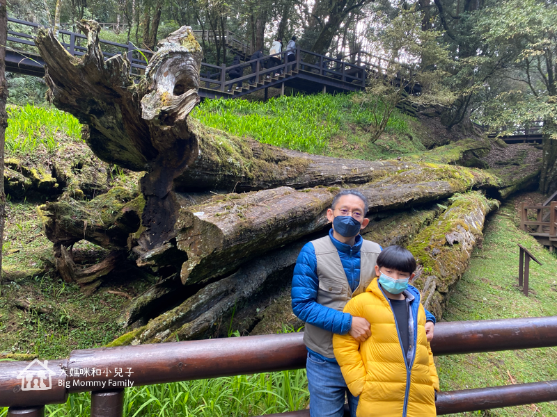 [帶小兒子去雲嘉] 原來阿里山日出是在天亮看並要注意高山症