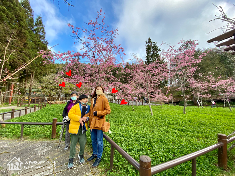 [帶小兒子去雲嘉] 原來阿里山日出是在天亮看並要注意高山症