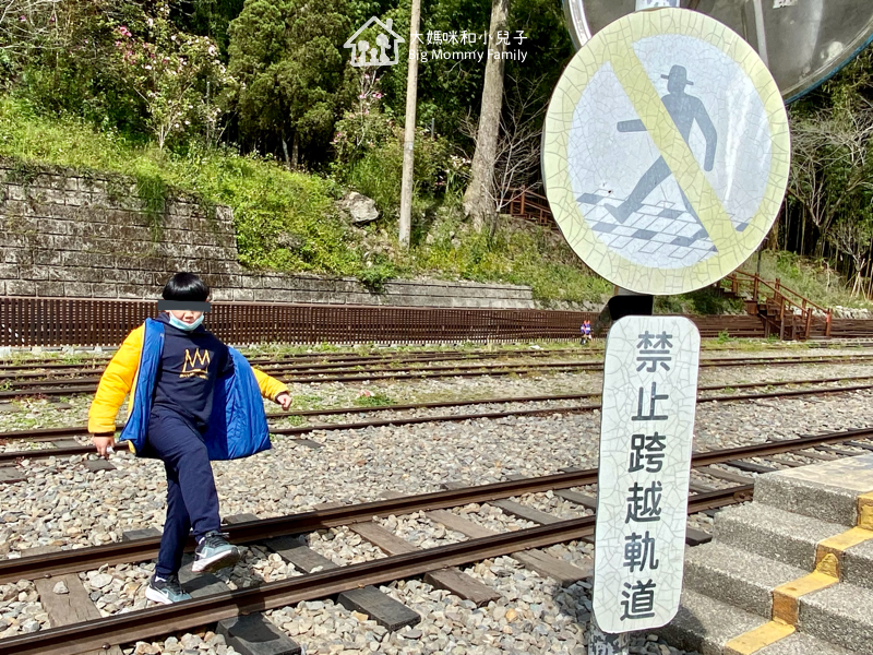 [帶小兒子去雲嘉] 奮起湖甜甜圈比較與免排隊密技