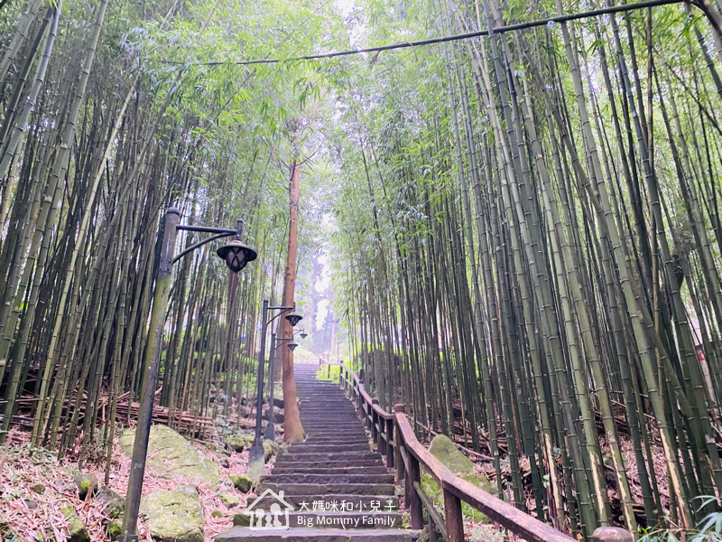 [帶小兒子去雲嘉] 奮起湖甜甜圈比較與免排隊密技