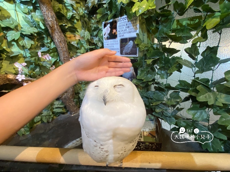 [日本大阪京都] 美食名店與小吃的真食感想（下）