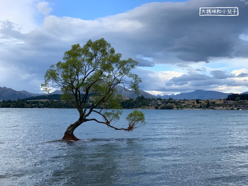 [紐西蘭南島露營車] Wanaka Holiday Park