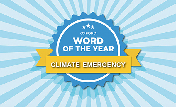 Screen Shot 2019-11-20 at 10.09.44 AM_0