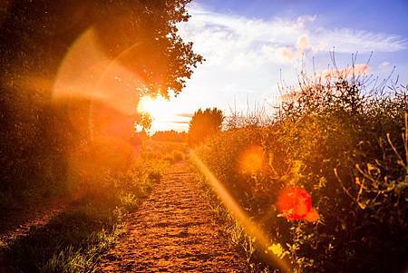 lawrence-walters-281468-unsplash lawrence-walters-281468-unsplash